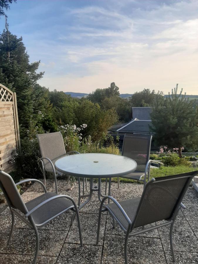 Haus Mit Ausblick 3 Schlafzimmer Wilkau-Hasslau Zewnętrze zdjęcie